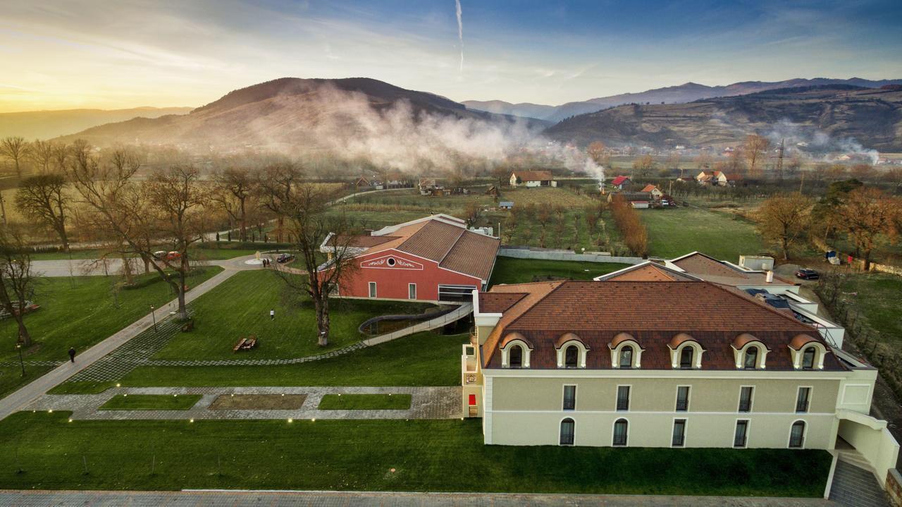 Hotel Cardinal-Domeniile Martinutzi Alba Iulia Extérieur photo